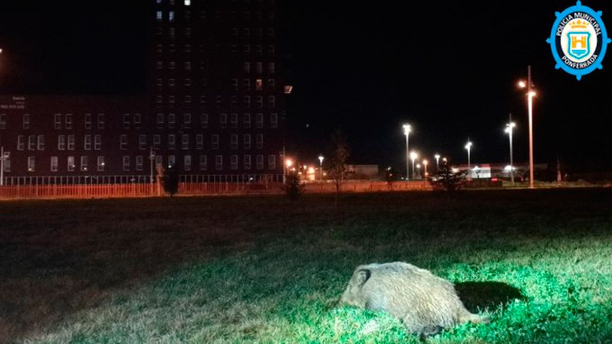 La Policía Municipal capto una imagen tras el accidente, con la Torre de La Rosaleda al fondo.