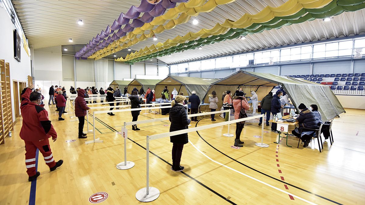 El cribado tuvo lugar este domingo en el pabellón de Benavides. | SAÚL ARÉN