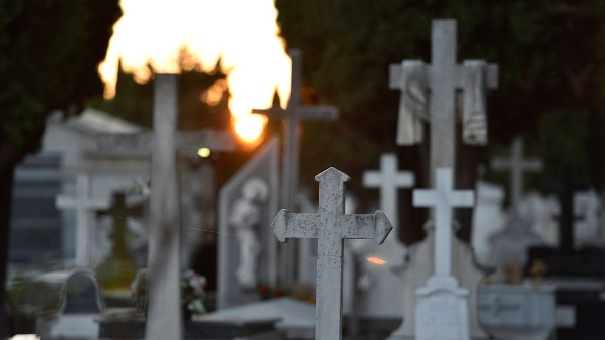 Algunos de los panteones del cementerio de la capital leonesa. | SAÚL ARÉN