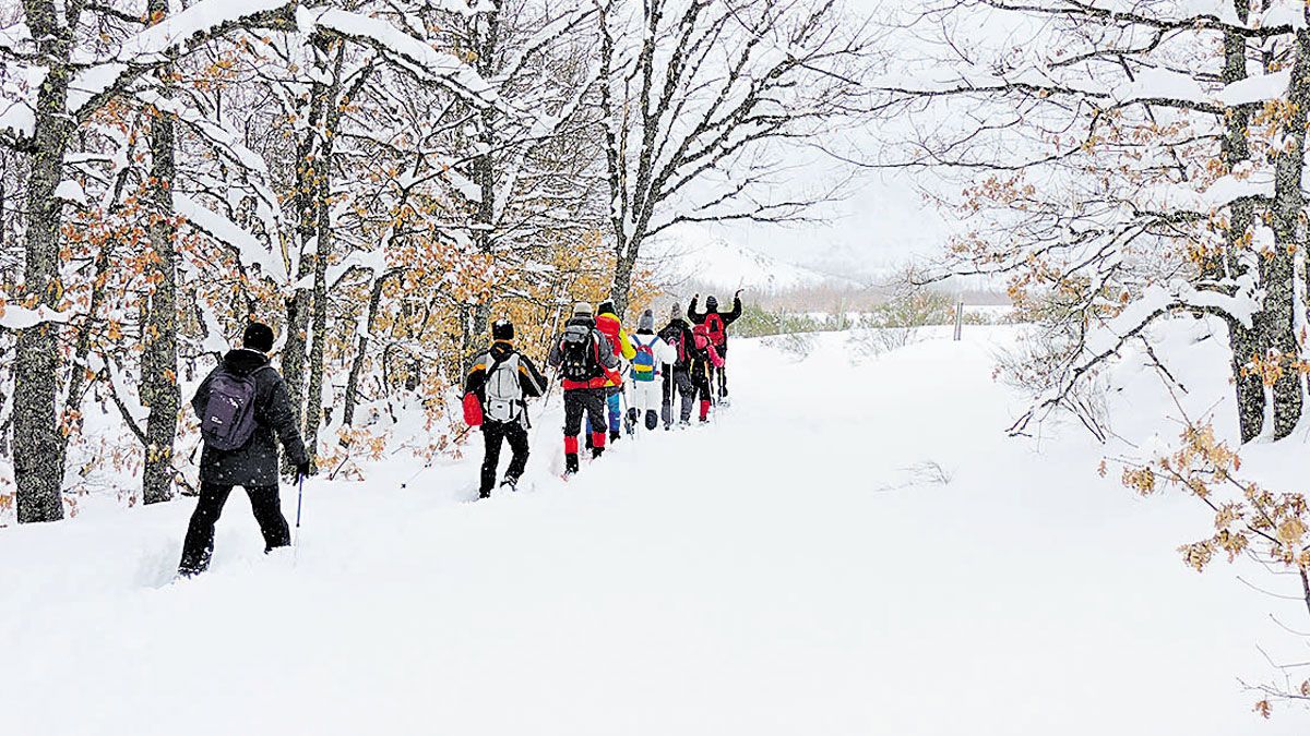 mampodre-raquetas-nieve-16012021.jpg