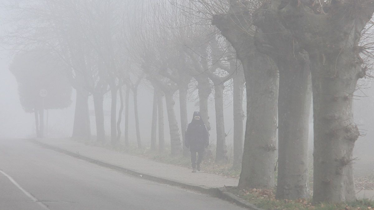 Intensa niebla en el Bierzo este lunes. | ICAL