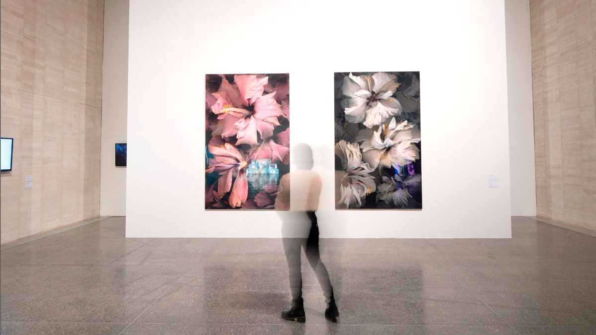 Vista de la exposición ‘El vuelo’ de la artista burgalesa Paloma Navares. | MUSAC