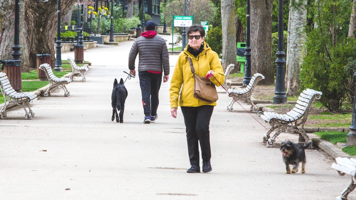 Imagen de archivo de personas paseando con sus mascotas. | Ical