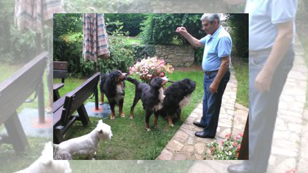 perros-obituario-27012021.jpg