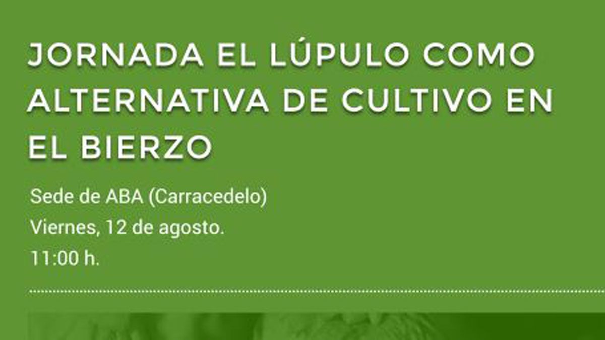 Octavio Antuño en su plantación de lúpulo con lo que recupera este cultivo en el Bierzo. | ICAL