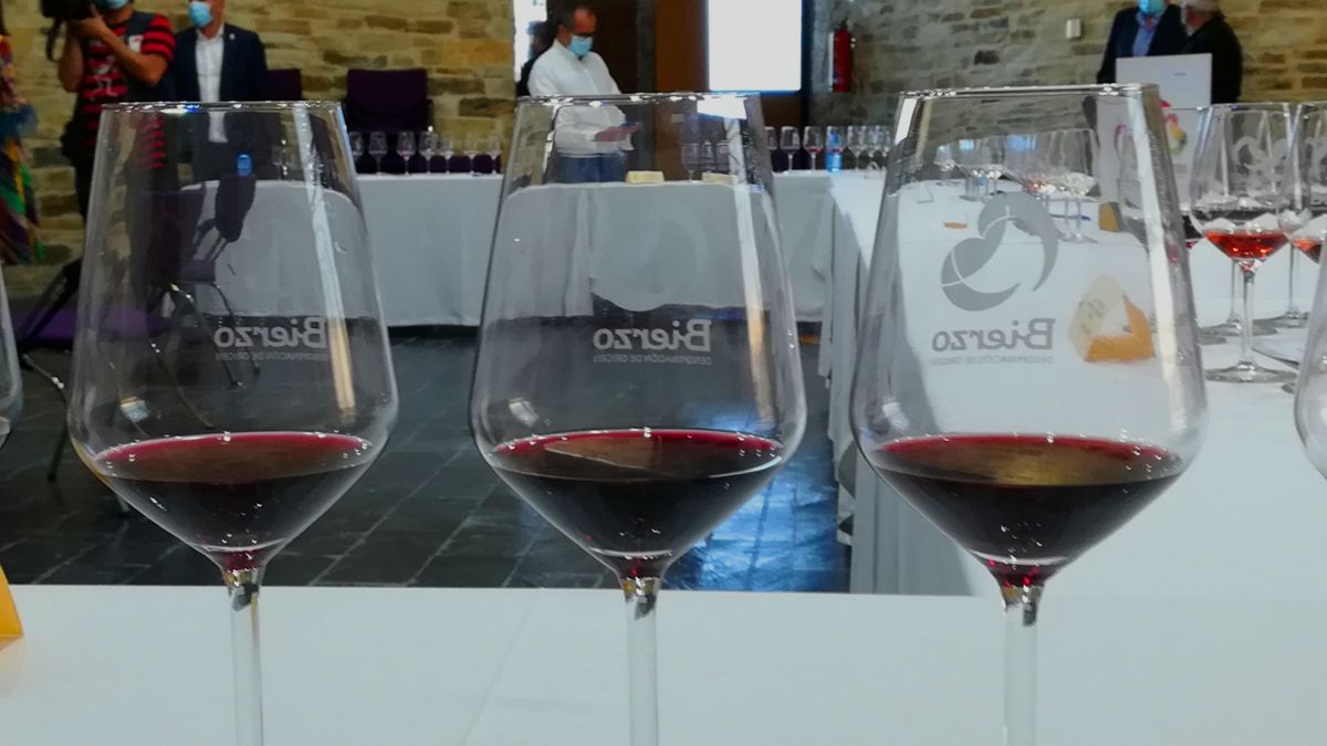 Vinos del Bierzo, en una cata de catalogación en el Consejo Regulador. | D.M.