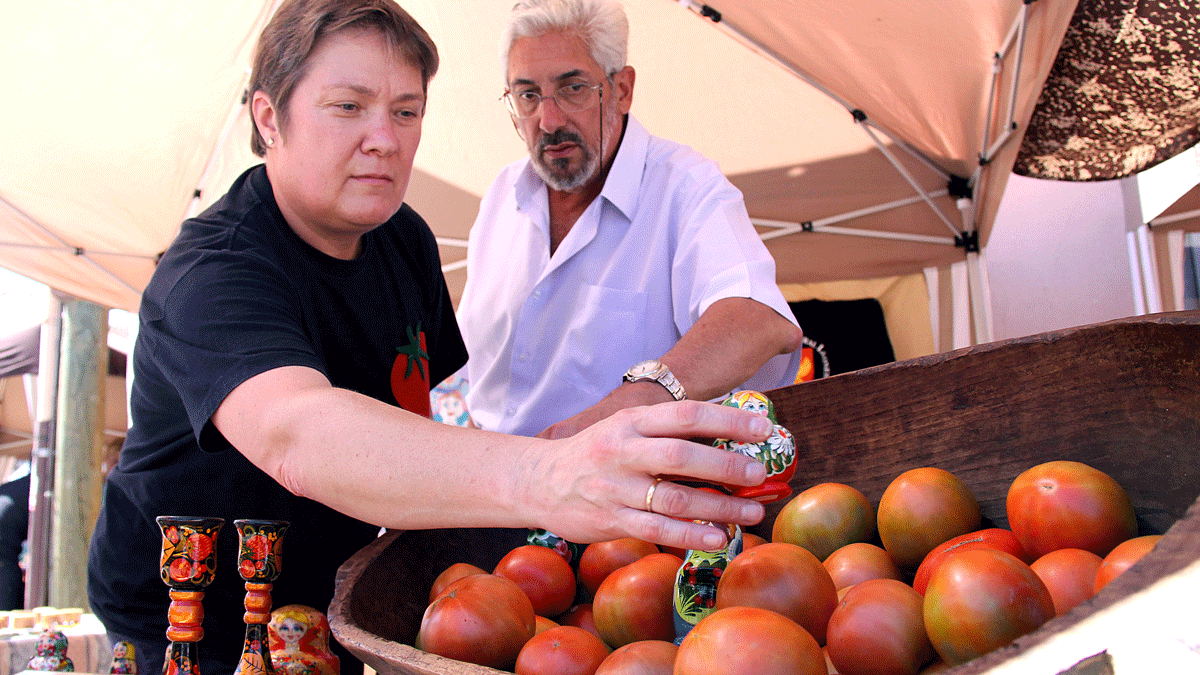 Feria del tomate de Mansilla. | ICAL