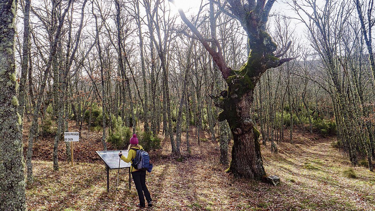 Cruce y cartel del robledal.  | VICENTE GARCÍA