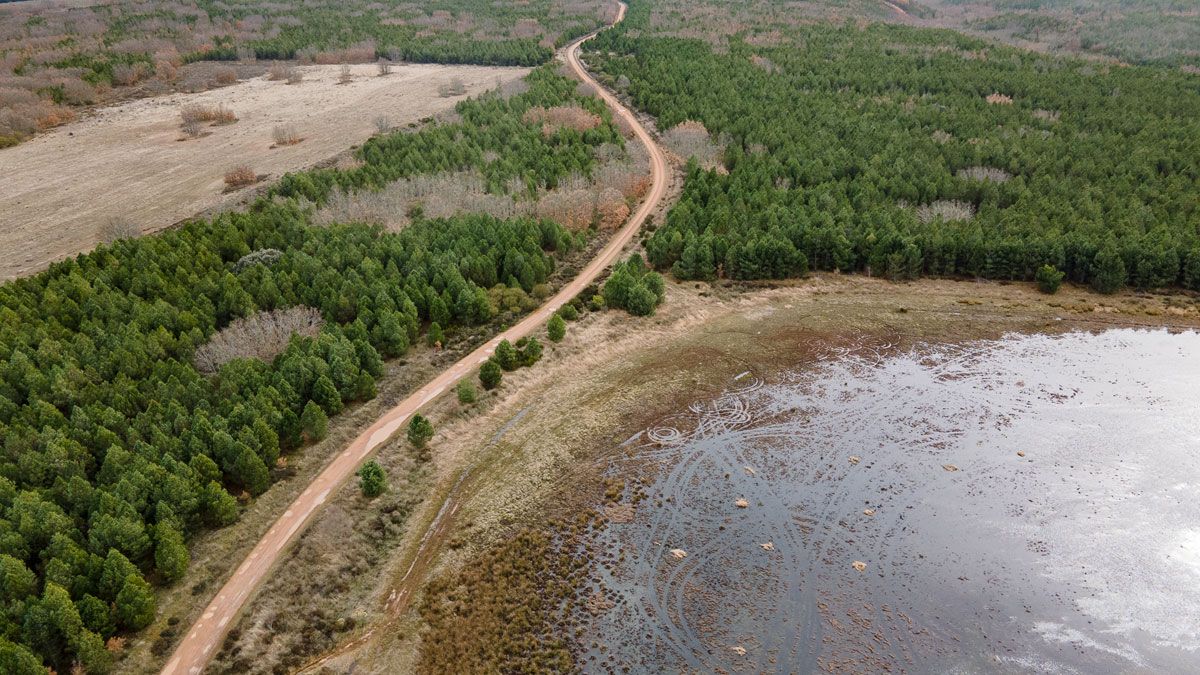 Cordel de las merinas o camino de la Rodera Blanca al lado de la Lagunona.