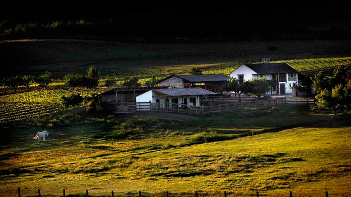 Paisaje en el que se enclava la bodega.