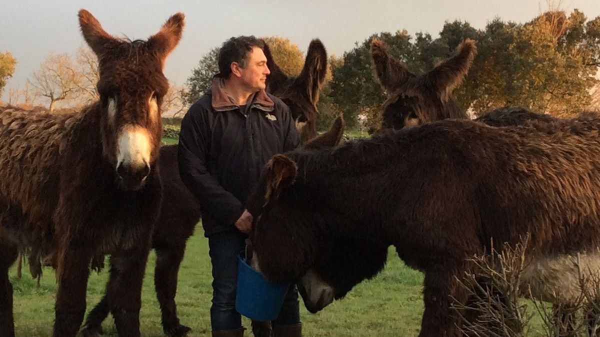 Víctor Casas rodeado de burros, una especie que algunos ganaderos también utilizan para ahuyentar al lobo. | L.N.C.