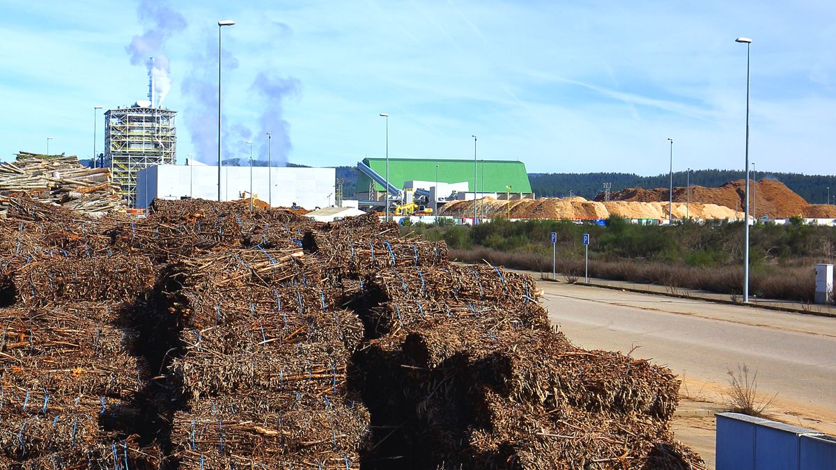 Polígono del Bayo, con la empresa Forestalia al fondo. | Ical