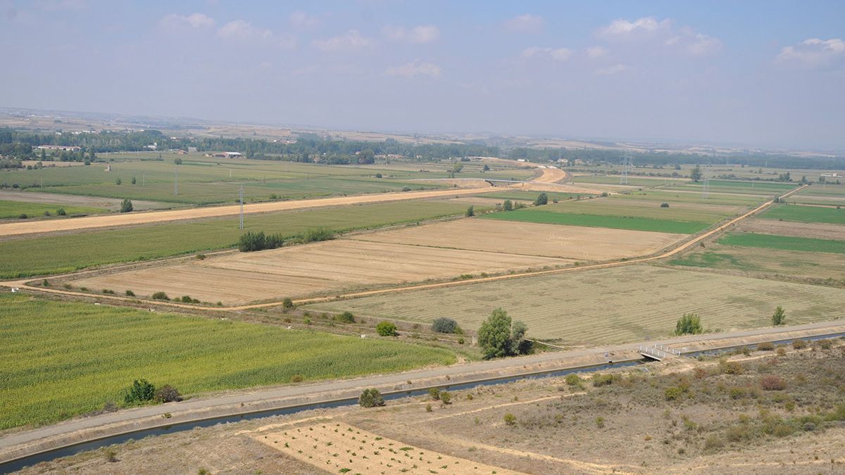 Terrenos agrícolas. | DANIEL MARTÍN