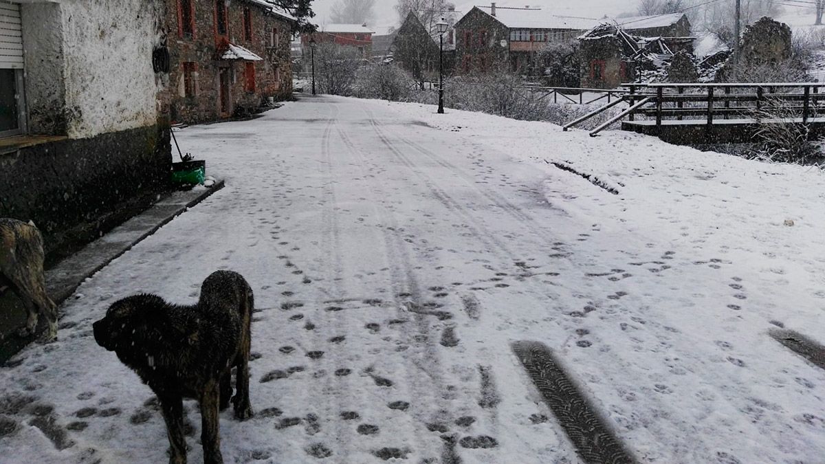 Nieve en Cármenes este domingo por la tarde.