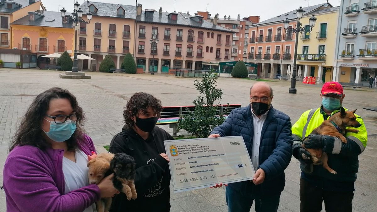 Entrega del cheque que permitirá esterilizar gatas en Ponferrada a Peludines sin Suerte.