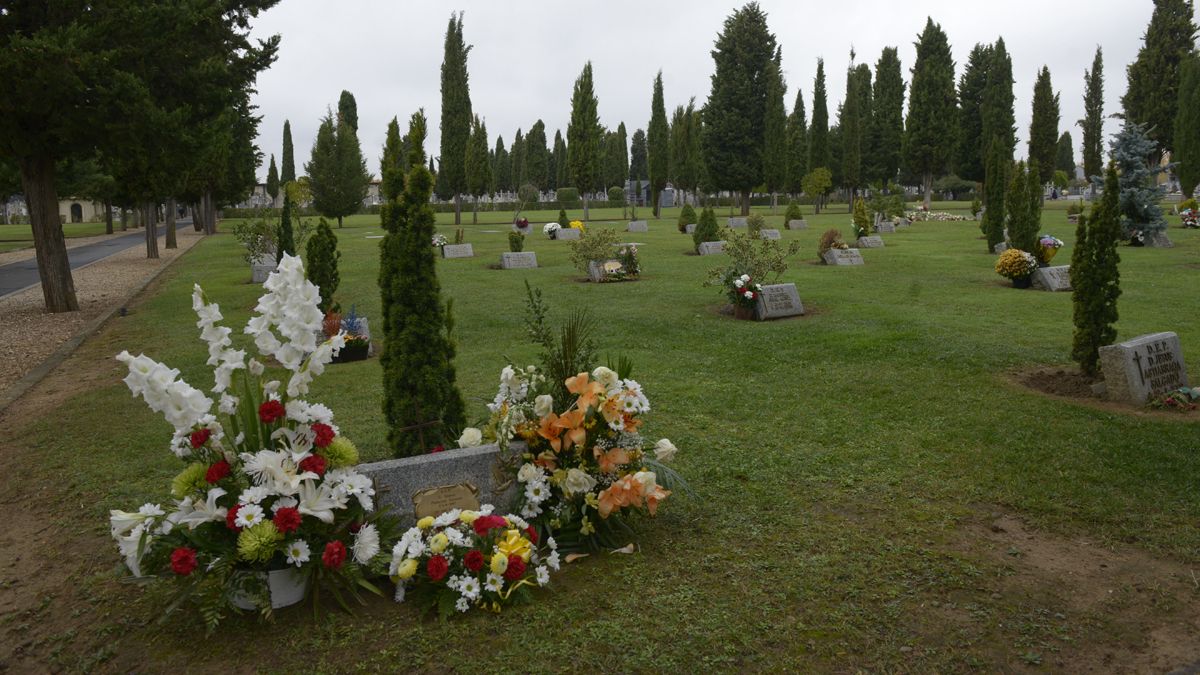 Vista general del cementerio de León en una imagen de archivo. | MAURICIO PEÑA