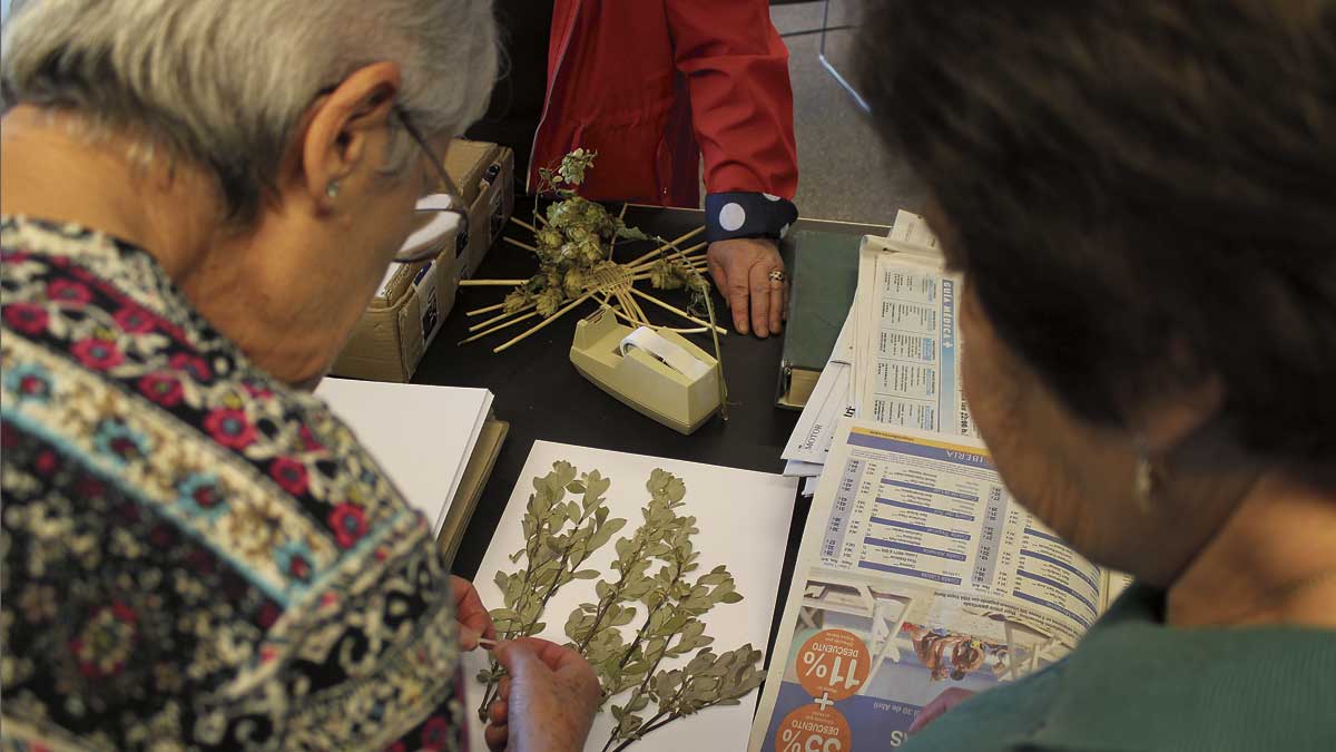 'Herbarium' es uno de los ciclos habituales del programa Entretiempo. | FCAYC