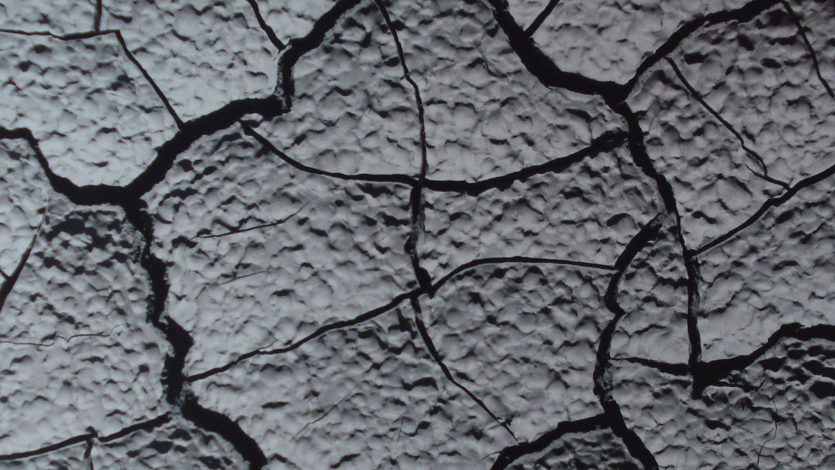 grietas-web.jpg grietas-web.jpg