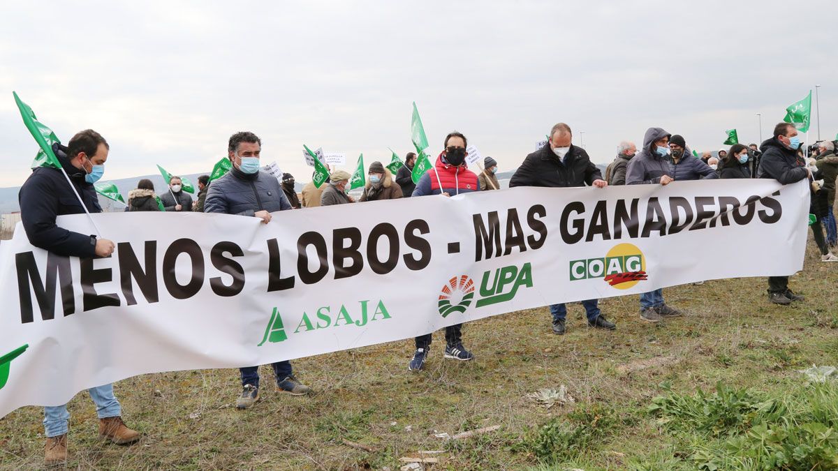 Asaja, UPA y COAG se concentran en Aguilar de Campoo para protestar contra la especial protección del lobo. | ICAL