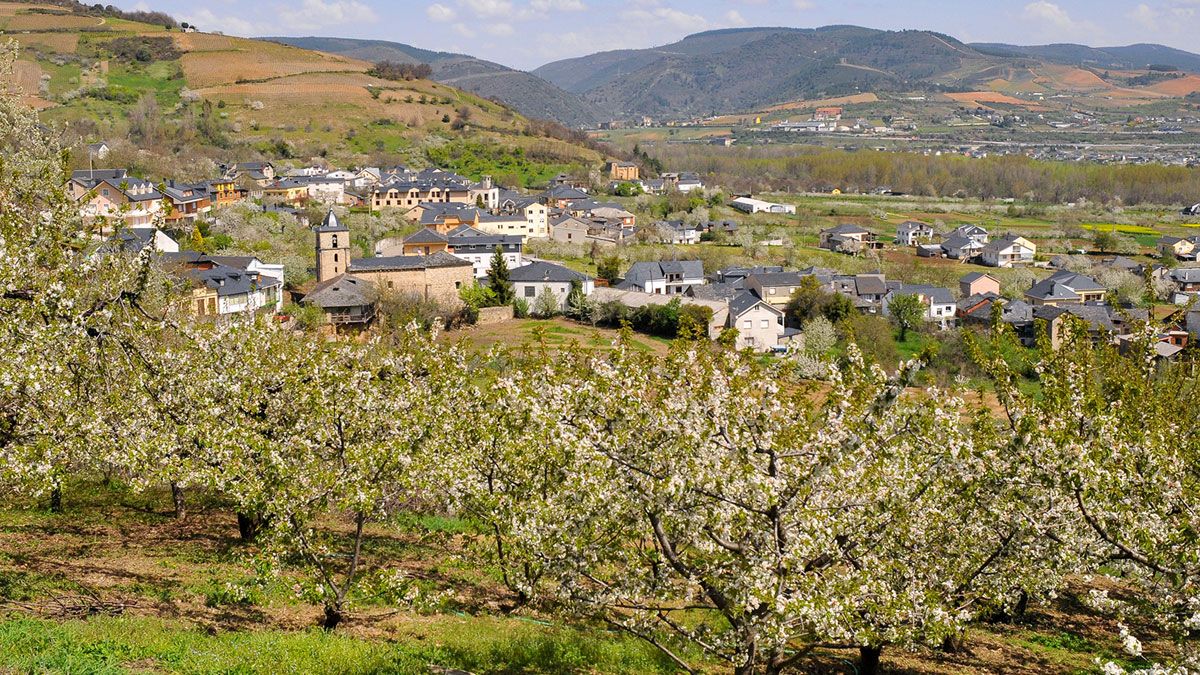 Los cerezos ofrecen una estampa turística de la que Corullón hace gala. Los cerezos ofrecen una estampa turística de la que Corullón hace gala.