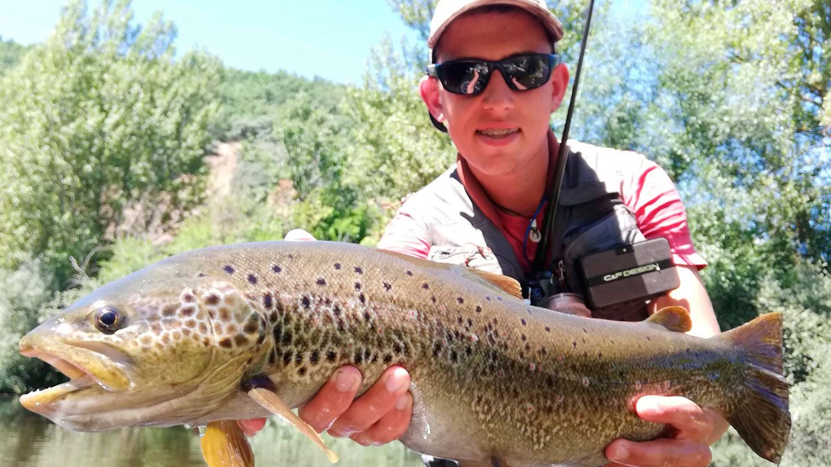 Imagen de una gran trucha pescada en el río Bernesga. | R.P.N.