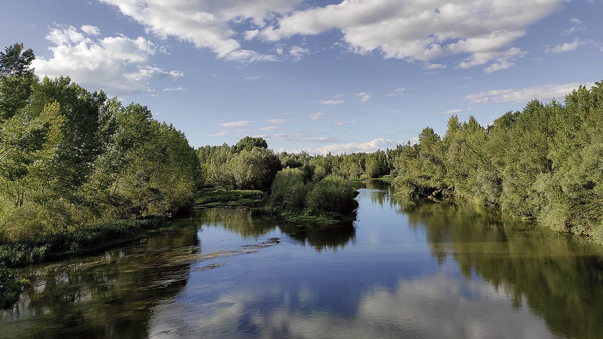 Imagen del río Esla a su paso por Valencia de Don Juan. | L.N.C.