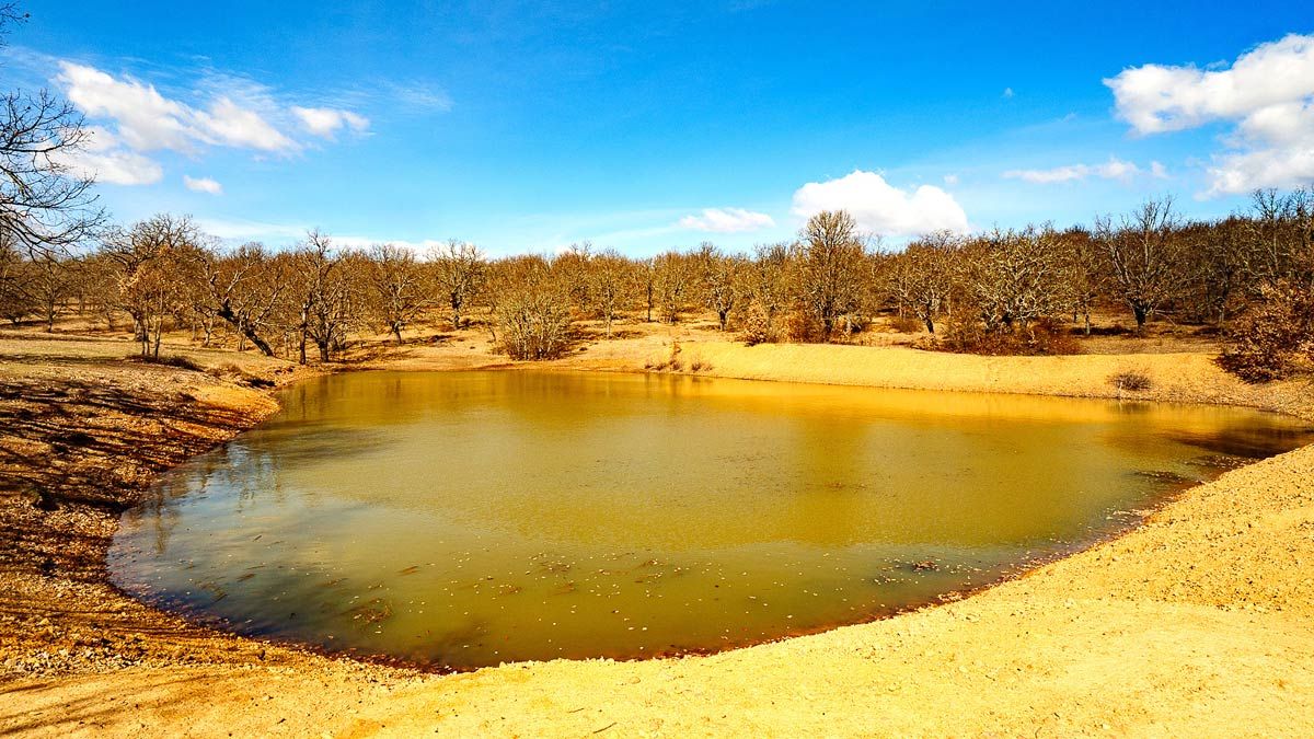 Laguna de la Cota. | VICENTE GARCÍA