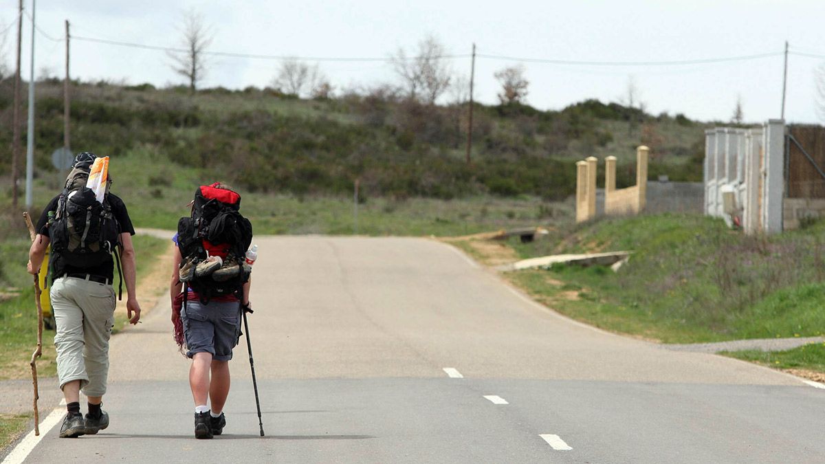 Italianos, belgas y australianos dejan más traza en el Camino de Santiago. | ICAL