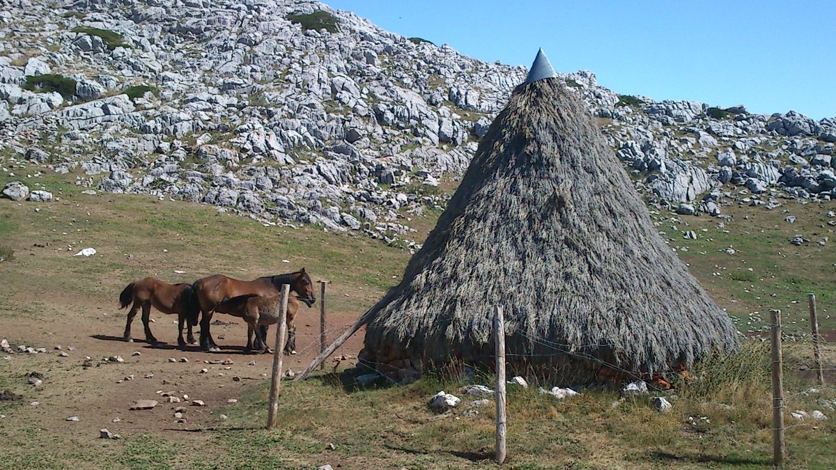 Imagen del chozo del pastor en Sancenas.