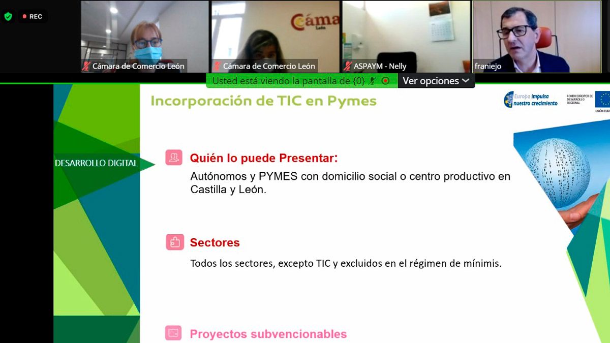 Un instante del encuentro telemático. | L.N.C.