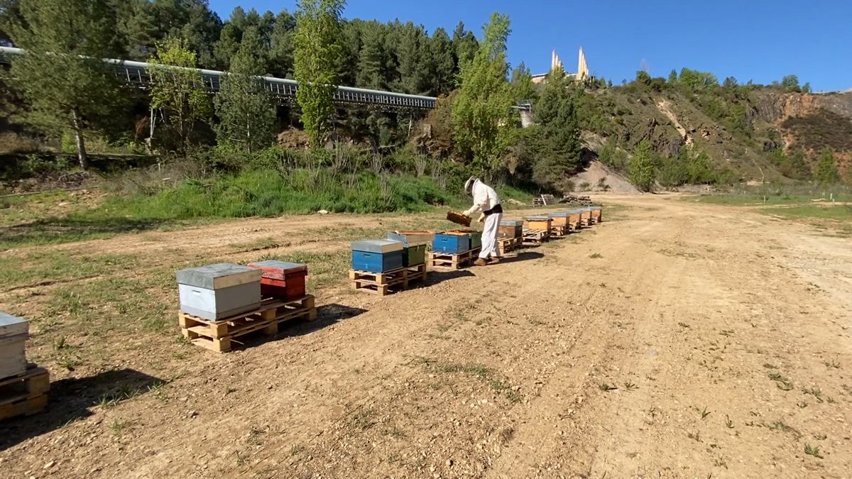 Colmenas colocados en la cantera de Corullón.