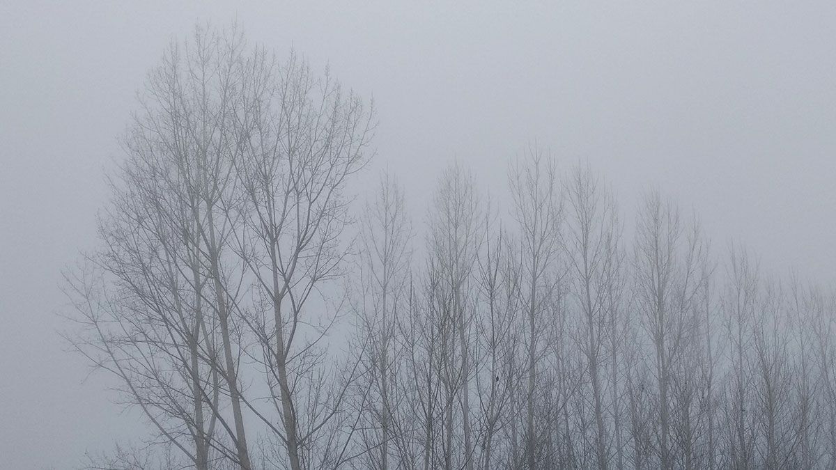 niebla19-11-2019-2.jpg