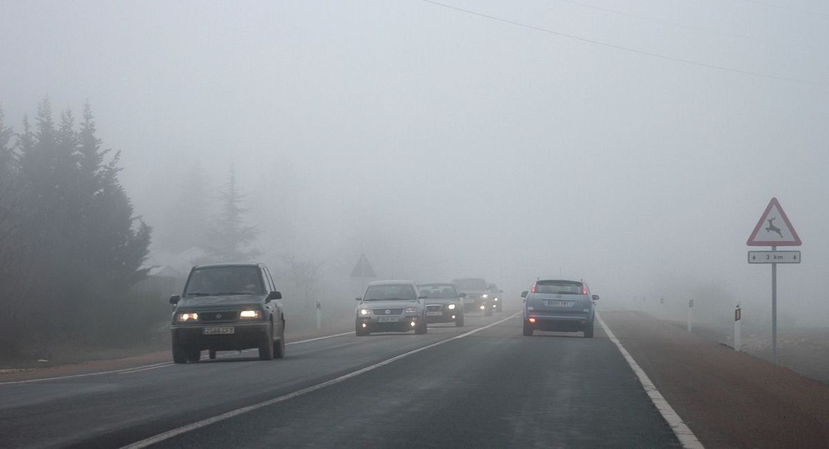 niebla-leon-30-04-2021.jpg