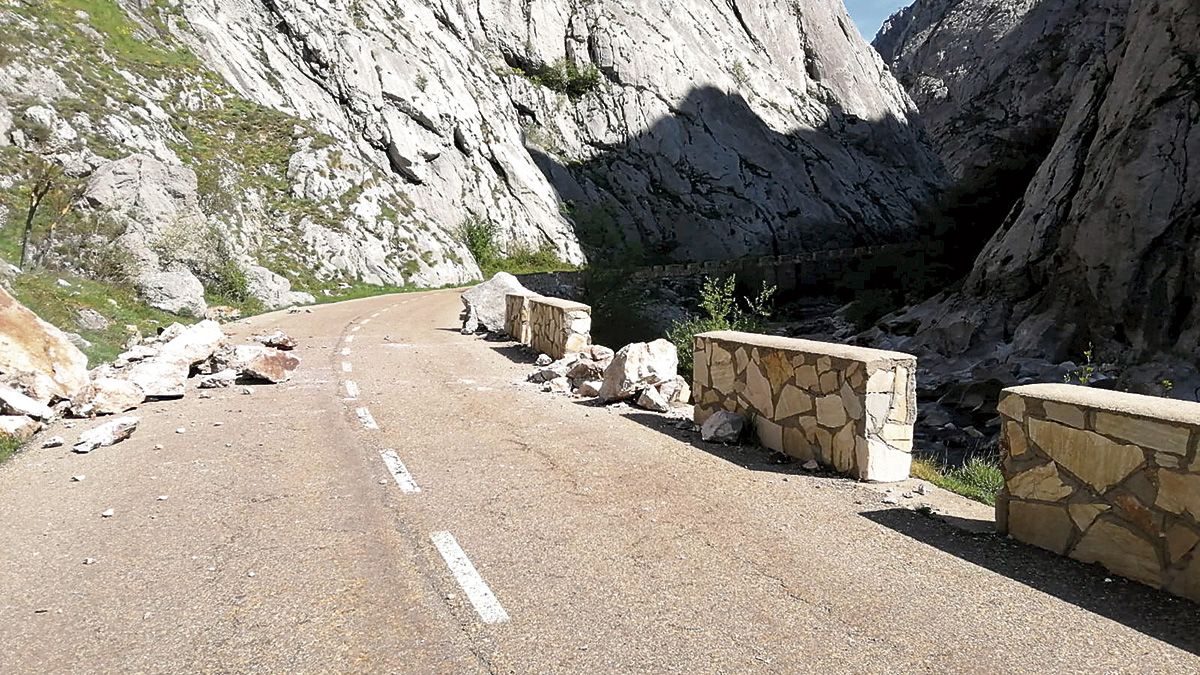 Varias rocas cayeron sobre el asfalto de la carretera LE-315. | L.N.C.