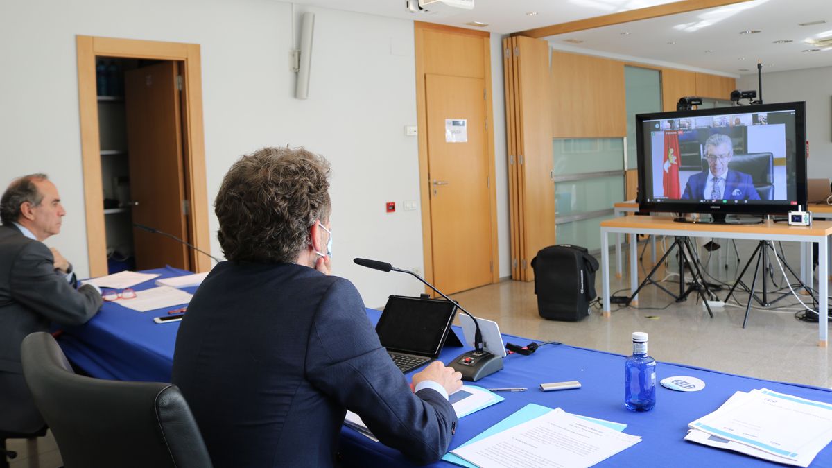 Intervención de Javier Cepedano durante la asamblea general y telemática de la Fele. | L.N.C.