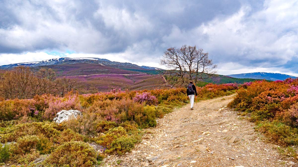 Subiendo con el Teleno al fondo. | VICENTE GARCÍA