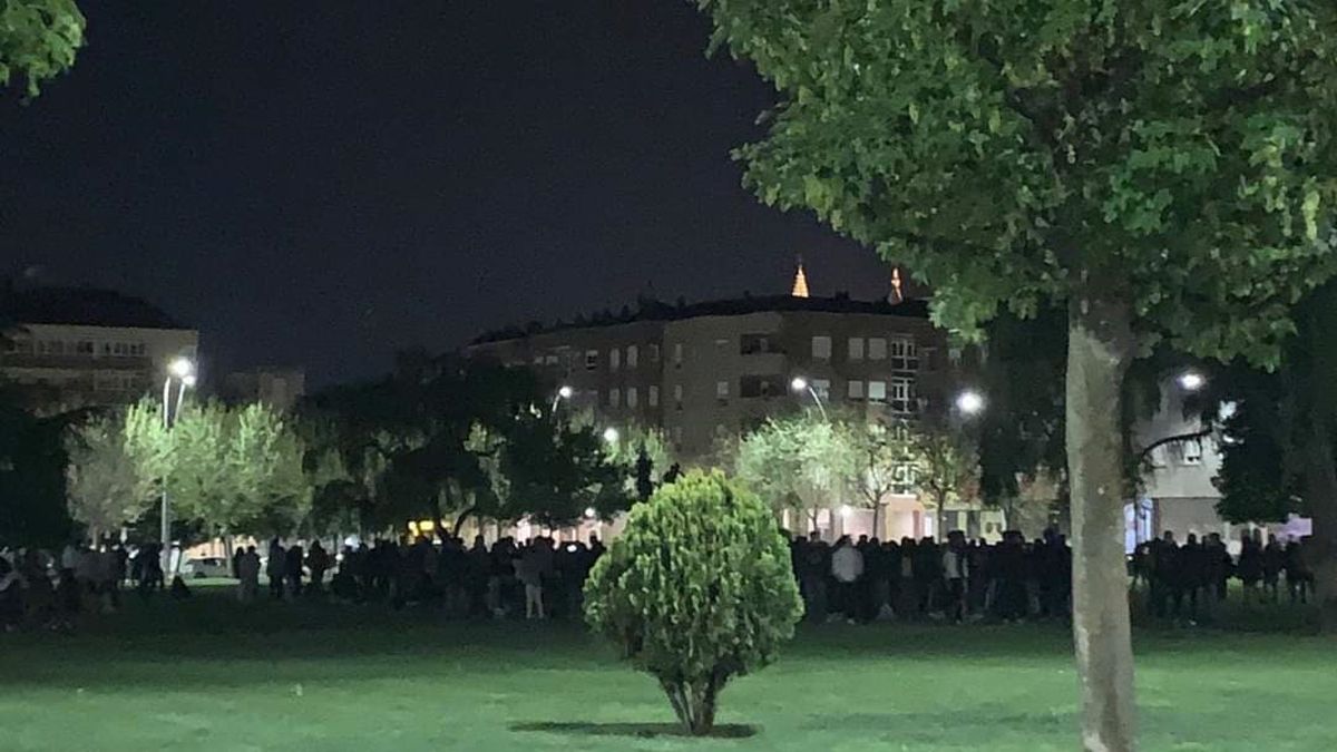 Imagen del botellón organizado en la zona ajardinada de la avenida de la Universidad. | JUAN LÓPEZ