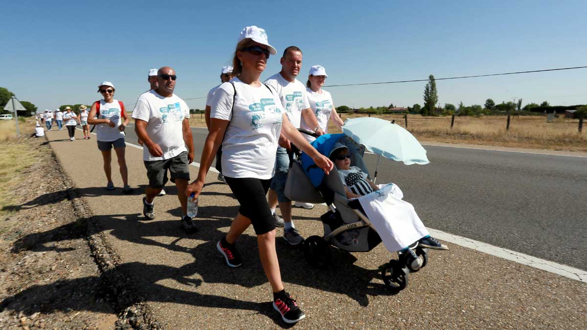 Los ganaderos de vacuno de leche caminan con su 'Marcha blanca' reivindicativa durante una etapa entre Boecillo y Mojados (Valladolid). | ICAL