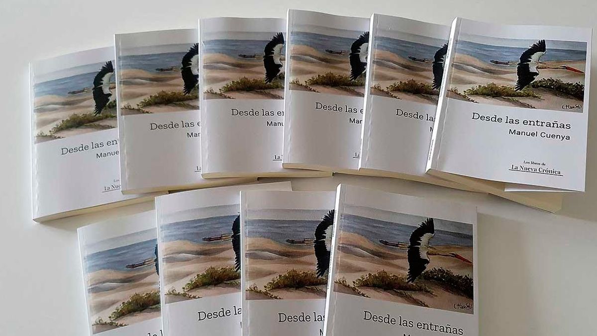 Portada del libro  "Desde las entrañas", en la mesa de lectura de Ruy.