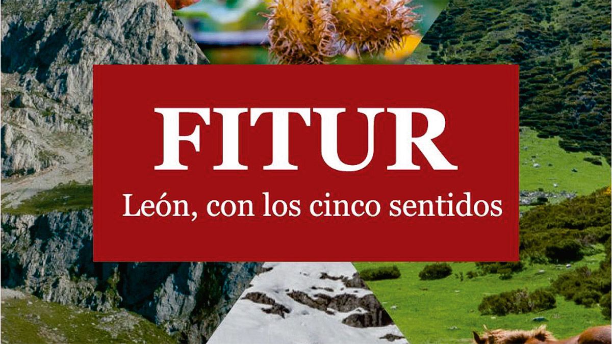 fitur-especial-leon-18521.jpg fitur-especial-leon-18521.jpg