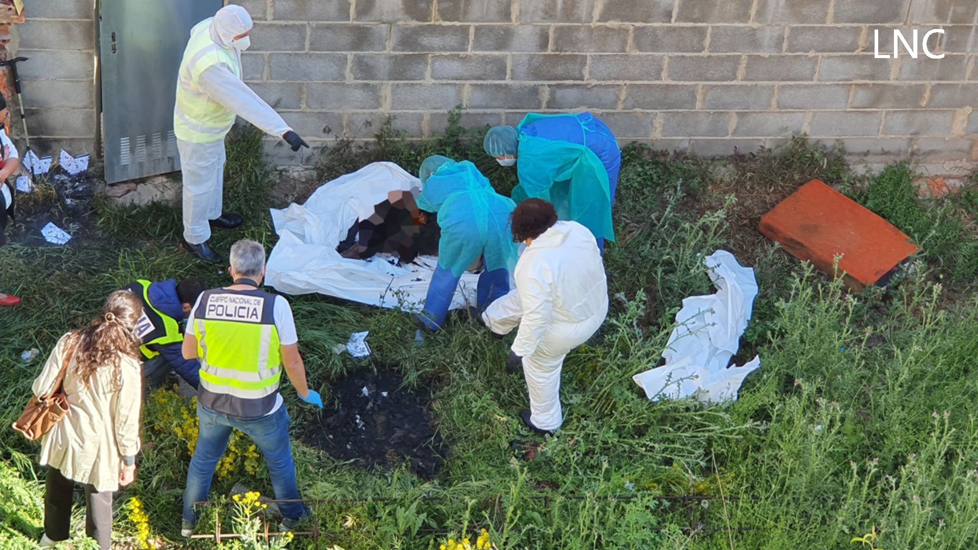 frame-20cadaver.jpg