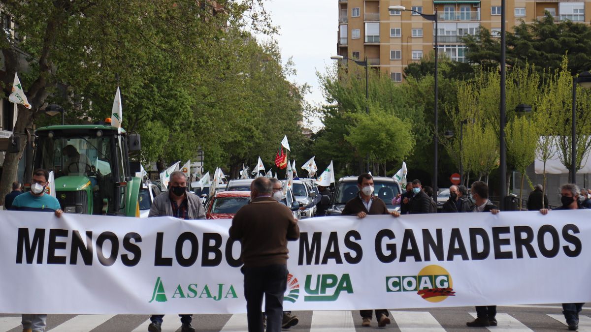 Un protesta reciente contra la protección especial del lobo. | ICAL