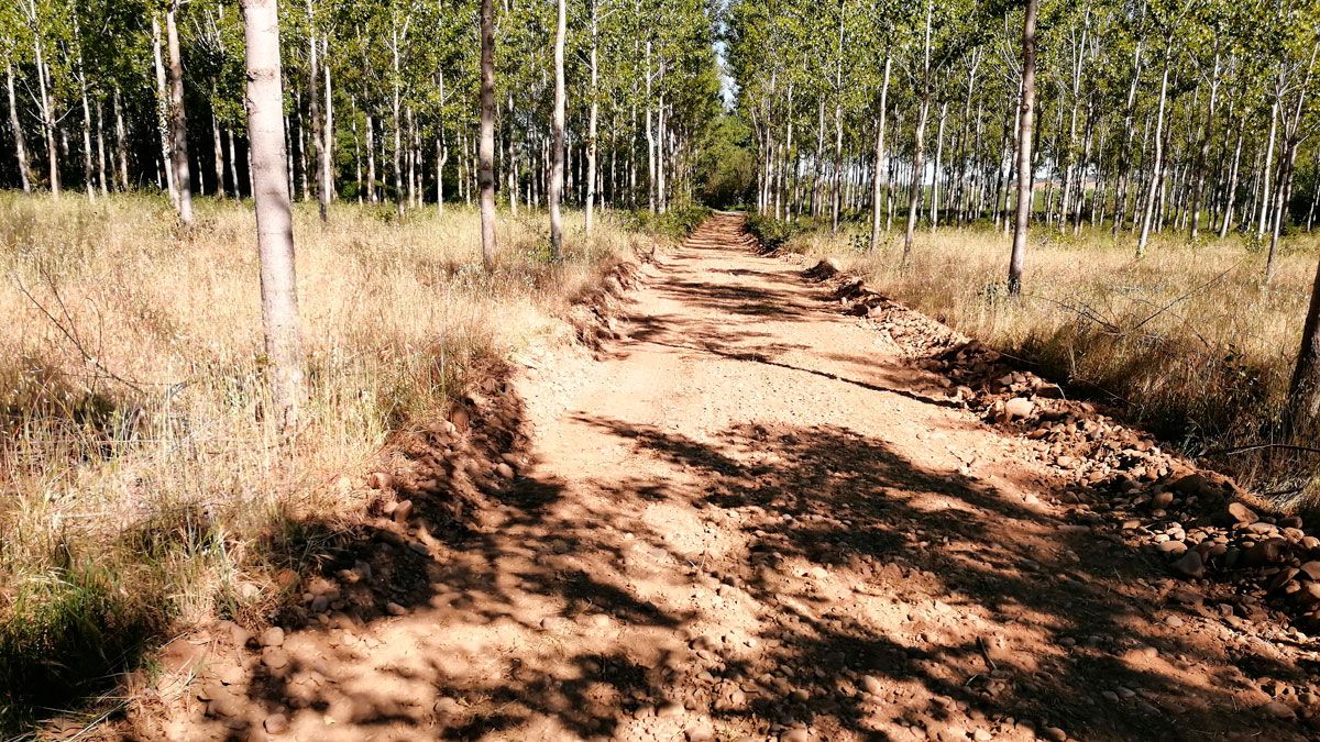 Uno de los accesos al río Órbigo recién acondicionado. | R.P.N.