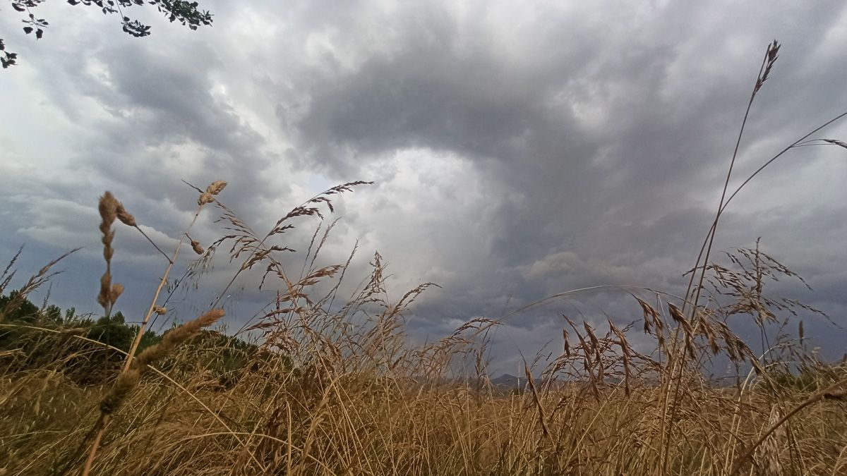 Nubes de tormenta en el Bierzo. | ICAL