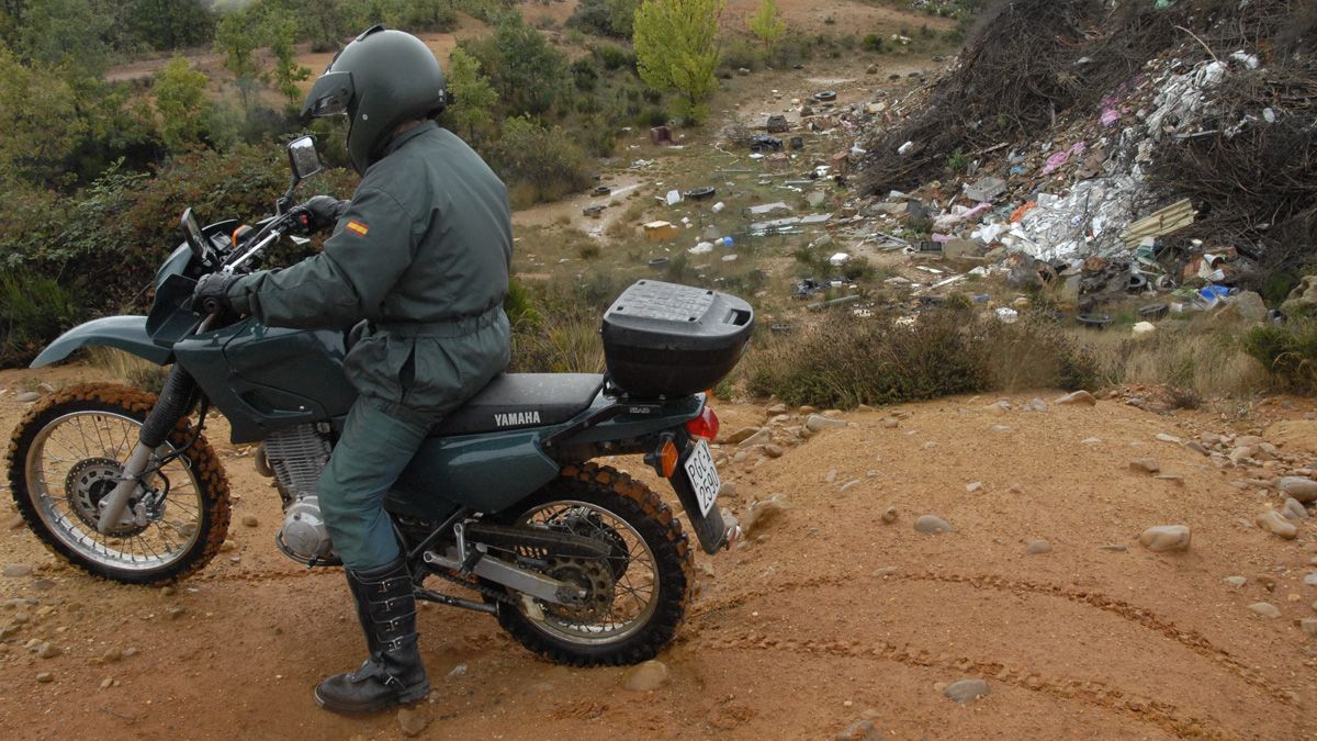 Agente del Seprona en una imagen de archivo. | MAURICIO PEÑA