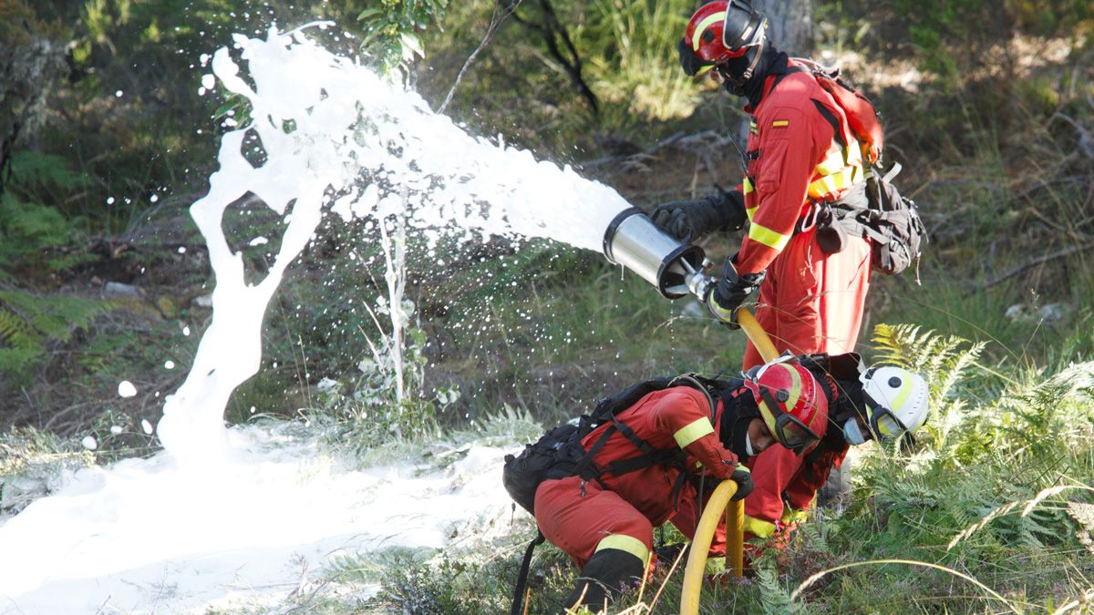 El BIEM V hizo ejercicios similares recientemente en el Bierzo. | ICAL