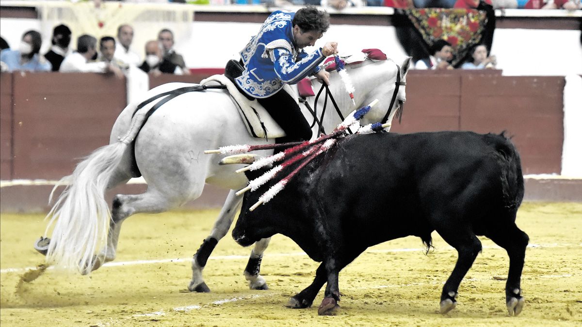 Hermoso mostró su calidad y espectacular cuadra aunque ‘los mejores’ estaban con su hijo en Zamora. | SAÚL ARÉN