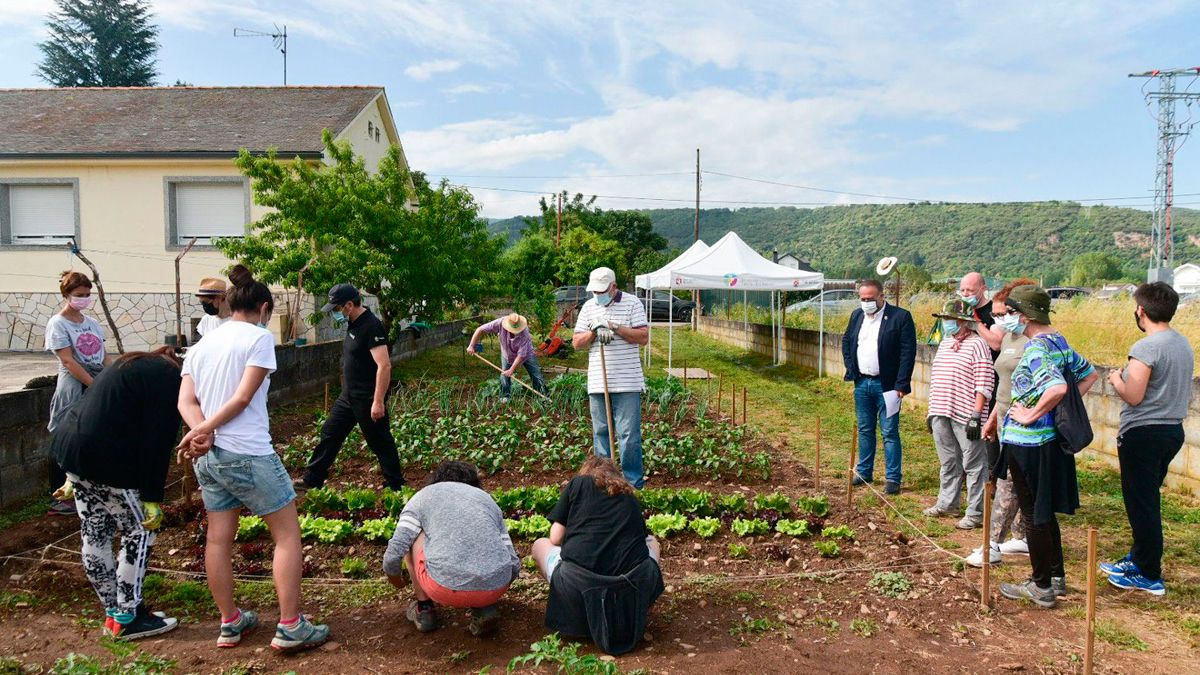 Visita del presidente del Consejo y de los técnicos a un curso de campo sobre horticultura para usuarios de parcelas.