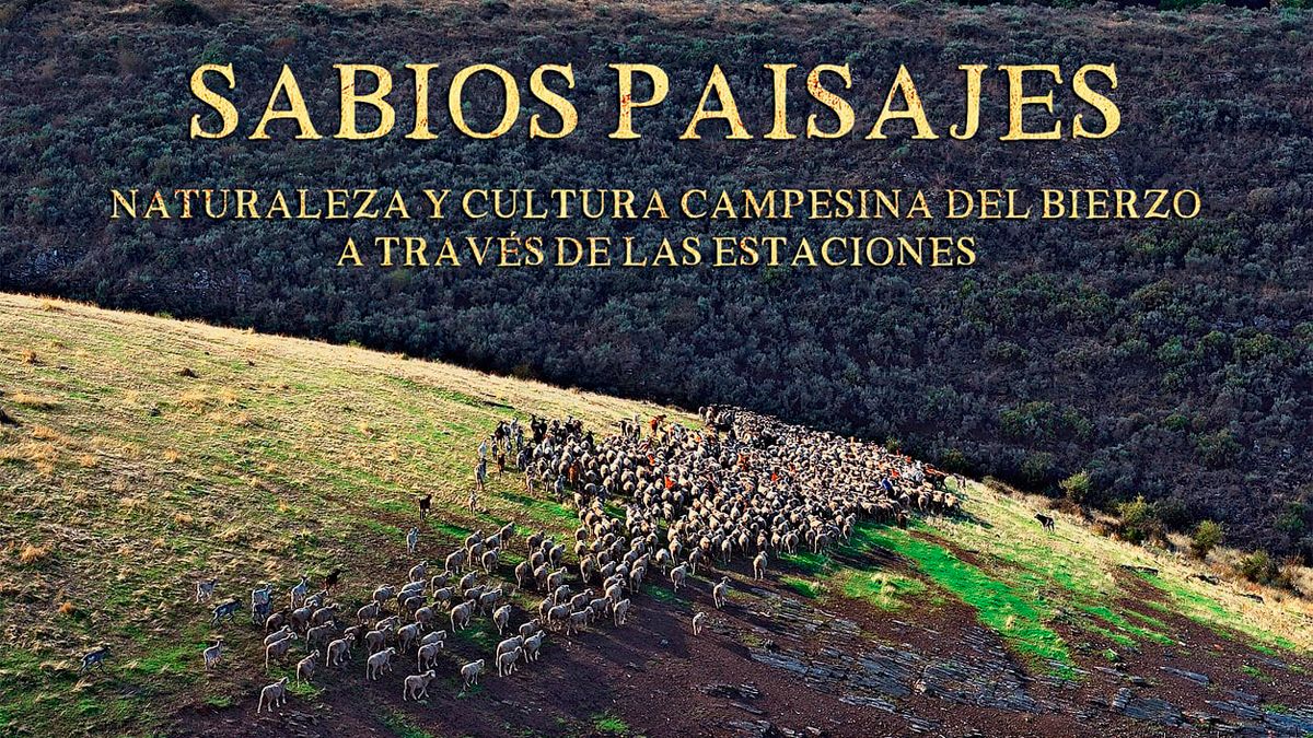 Portada del libro.