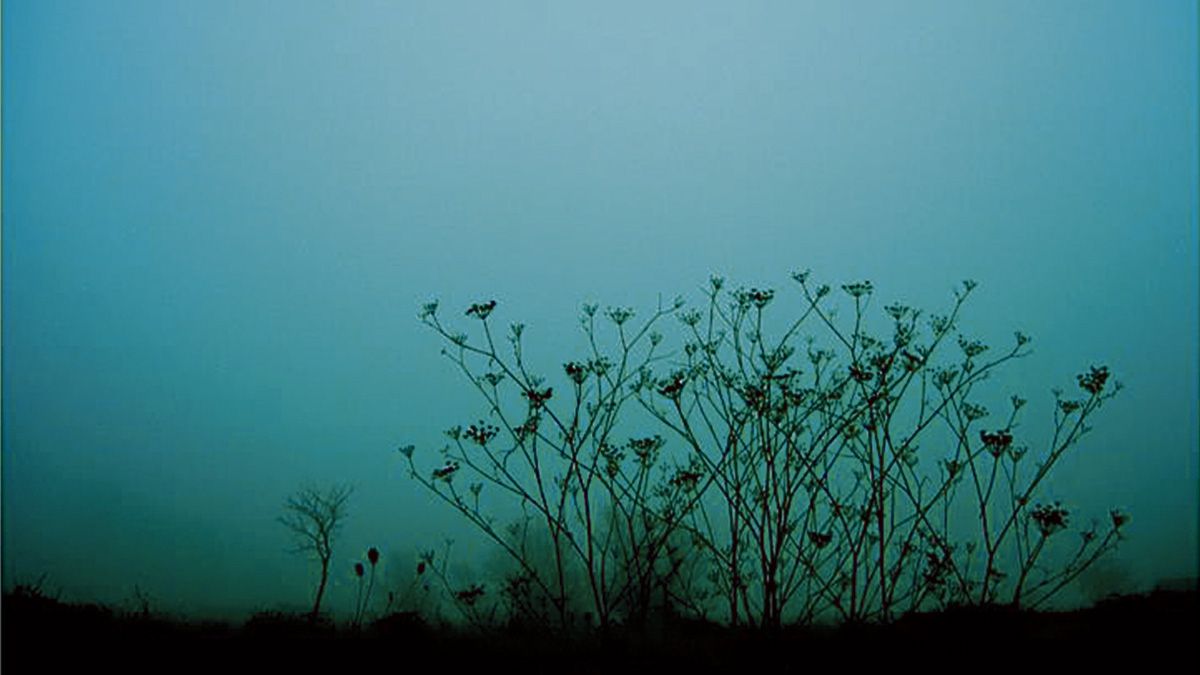 Claroscuro verdeazulado (Paisajes mágicos).